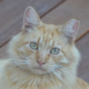 Meet your Posher, Rebecca